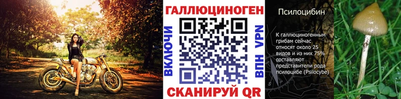 Галлюциногенные грибы мицелий  Купить закладки  Мончегорск 